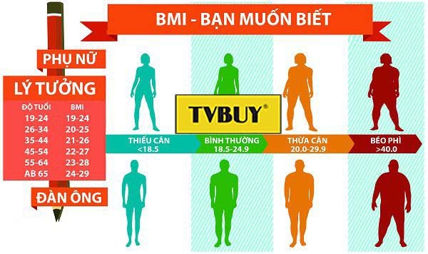 Chỉ số BMI- những thông tin chỉ số cơ thể bạn nên biết